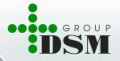 DSM Group